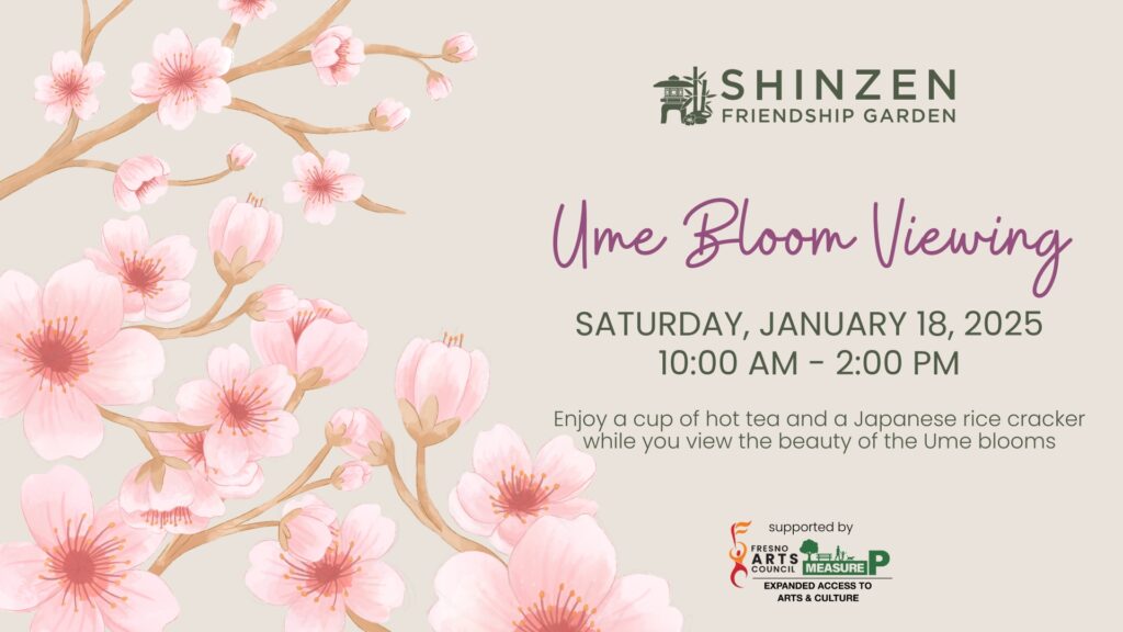 ume blooms at shinzen garden viewing party